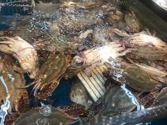 -盒马鲜生(丁香国际店)