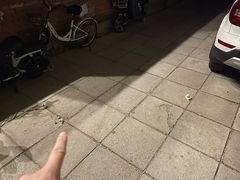 -麦当劳(军博店)