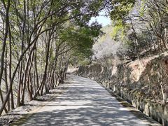 -东山风景区(洞庭东山)