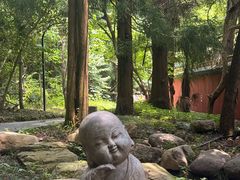 -天目山大树王景区