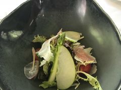 -蝶舍·MAISON PAPILLON