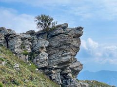 -灵山