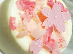 -星巴克(哈尔滨道外百盛店)