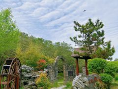 -上海共青森林公园