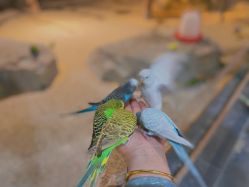 -酷嗒动物文化乐园(cutezoo西溪乐天城店)