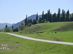 -新疆那拉提国家旅游度假区