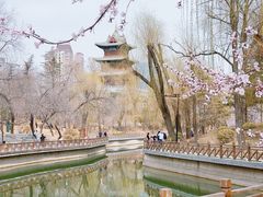-迎泽公园