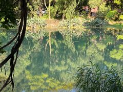 -花溪公园