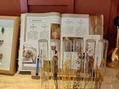 -LANN I蘭泰式古法按摩(江湾里店)
