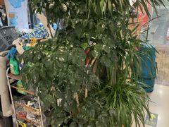 -观塘港茶餐厅(八一大道店)