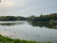 -无锡蠡湖国家湿地公园-蠡园