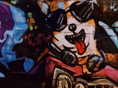 -柴犬高等学院·狗咖·柴犬售卖·宠物训练