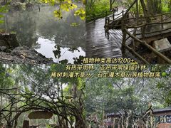 -板桥海鲜广场(文明东店)