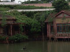 -长鹿旅游休博园