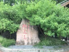 -金鸡湖桃花岛