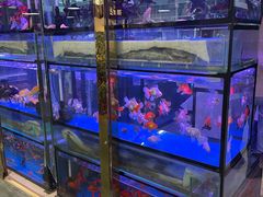 -金三角花鸟鱼综合市场-地面停车场