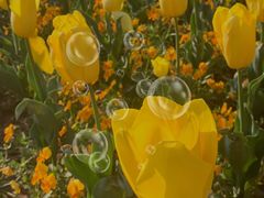 -宝鸡植物园