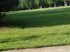 -迎燕阁烤羊腿(二环南路店)