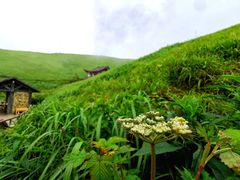 -萍乡武功山风景名胜区