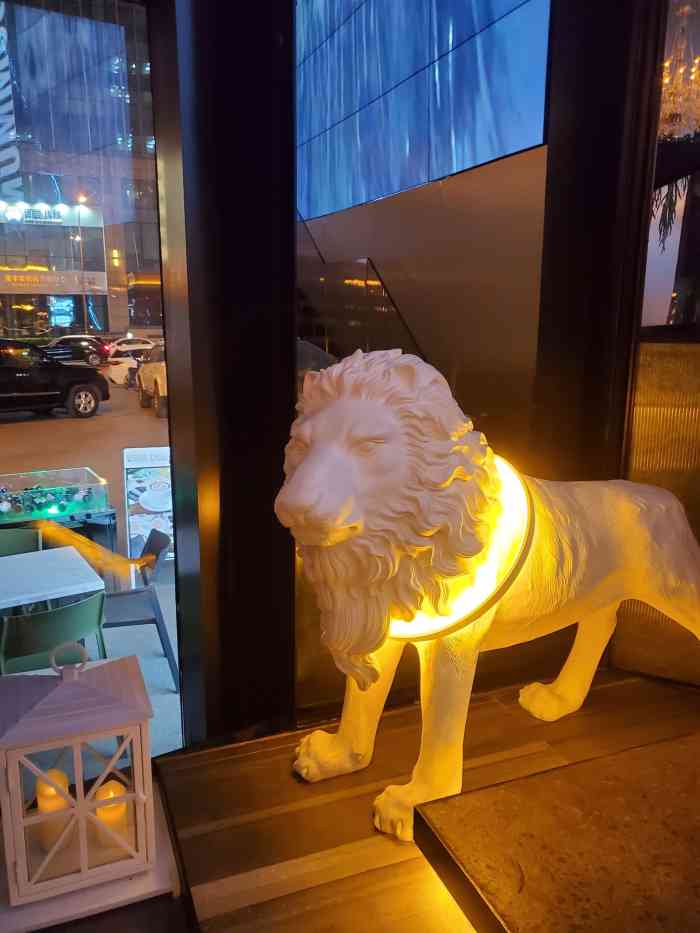 沈阳夜猫子老板图片