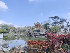 -顺峰山公园