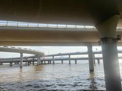 -演武大桥观景平台