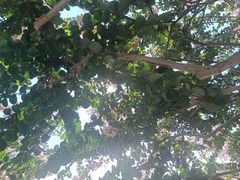 -杭州城北体育公园