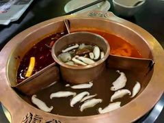 -滇釜火锅·能喝汤的火锅(车公庄店)