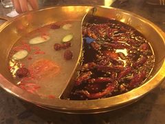 鸳鸯锅底-小龙坎火锅(黄河店)