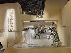 -国家自然博物馆