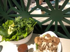 田园杂菜篮-百年果林椰子鸡(中洲店)