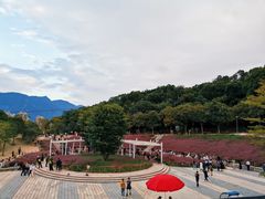 -牛岗山公园