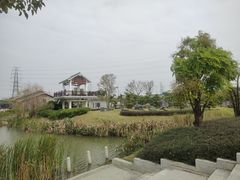 -王借岗森林公园