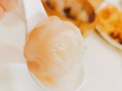 陶然轩虾饺-陶然轩(沙面店)