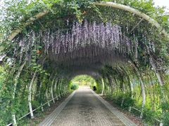 -同里国家湿地公园