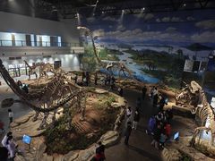 -自贡恐龙博物馆