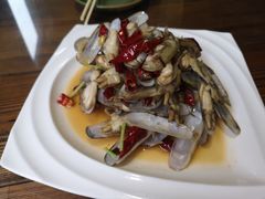 -鲁前海沿儿