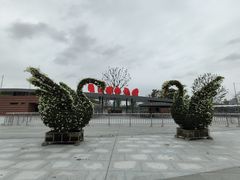 -武汉动物园