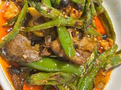 回锅牛肉-曾牛肉