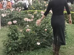 -人民公园(罗湖区)