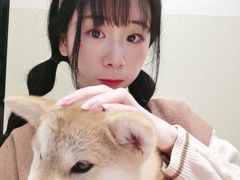 -逗柴咖啡屋·狗咖猫咖宠物桌游