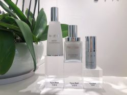 -奥斯芬·欧系贵族SPA