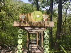 -大岭沟猕猴桃谷风景区