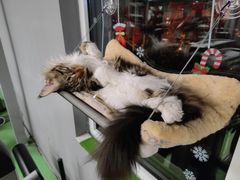 -BD健身私教工作室(CBD店)