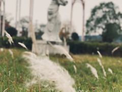 -环球公园