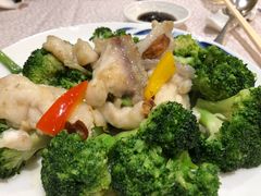 -海港酒家(上水新丰店)