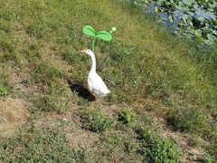 -天津东丽湖风景区