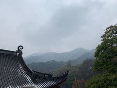 -钱江新城灯光秀