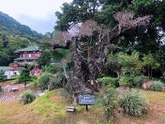 -红旗山庄(圭峰山店)