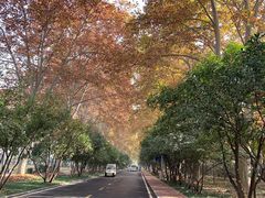 -河南省黄河迎宾馆